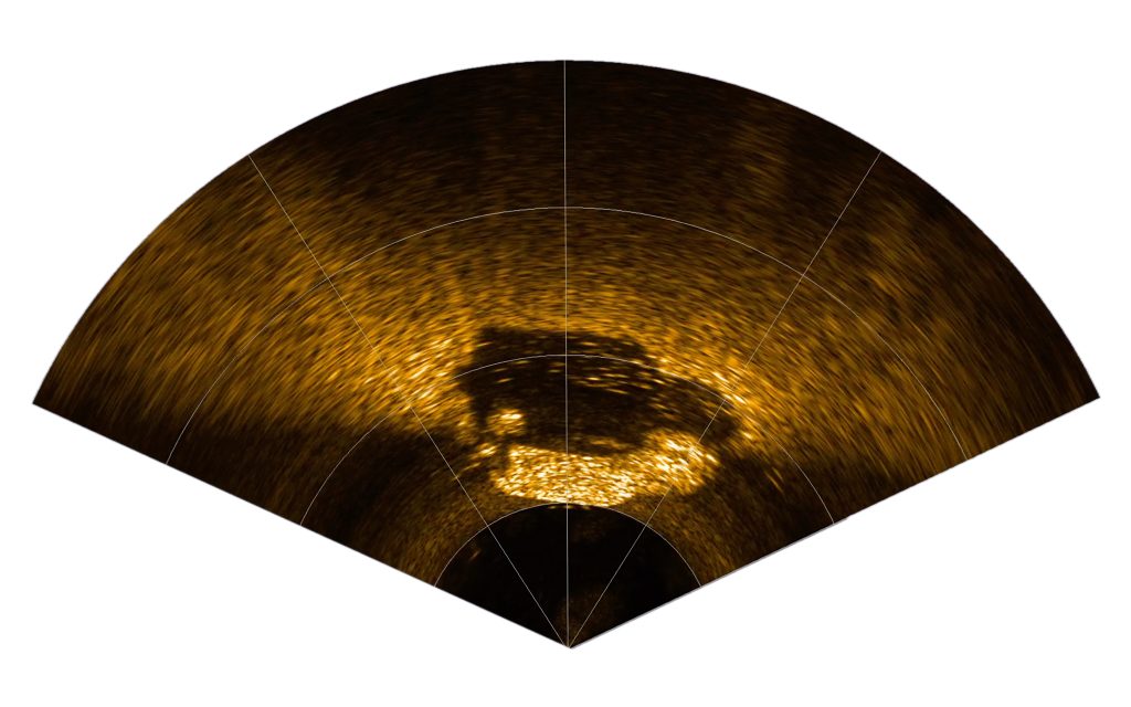 FL Multibeam Imaging Sonar