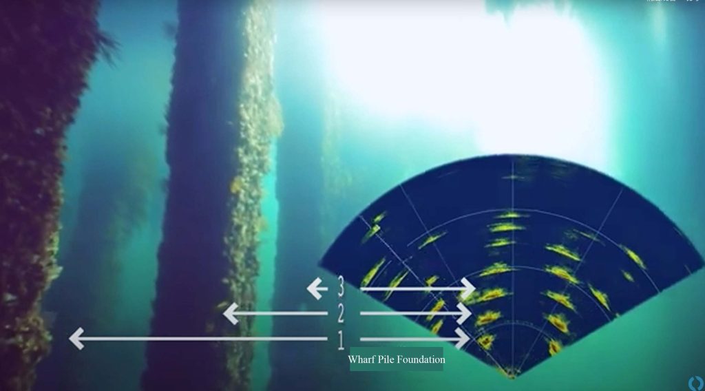 Ping360 Scanning Imaging Sonar