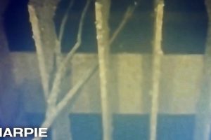 O1CN017grYVf1bQirl4VbZJ_!!330746 (7) O1CN017grYVf1bQirl4VbZJ_!!330746 (7)