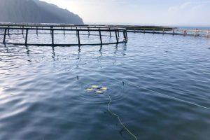 mmexport1540171989281 mmexport1540171989281