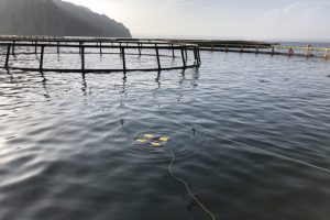 mmexport1540171989281 mmexport1540171989281