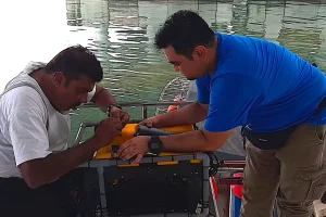 桩基检查 桩基检查